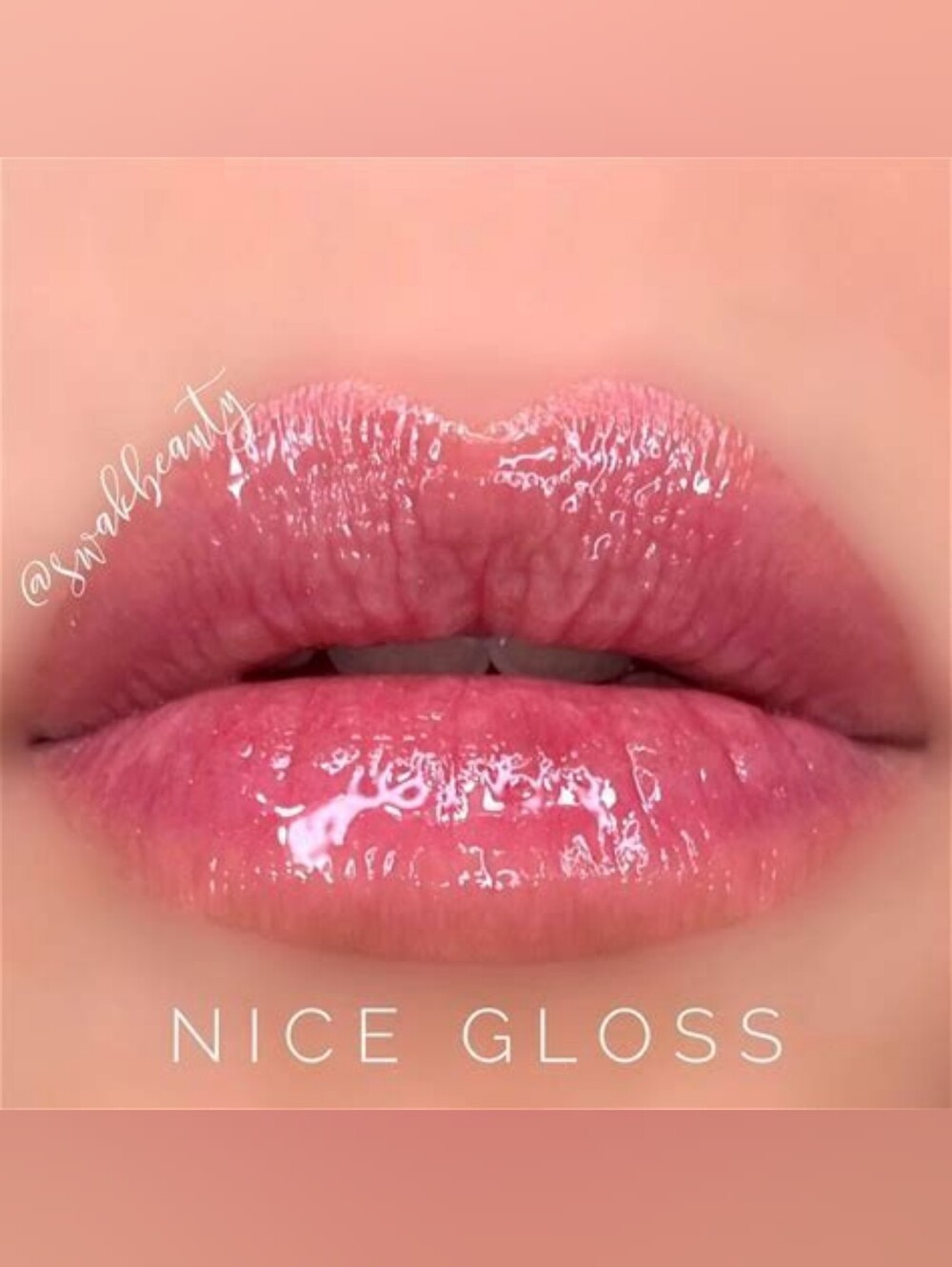 NICE Mini Gloss